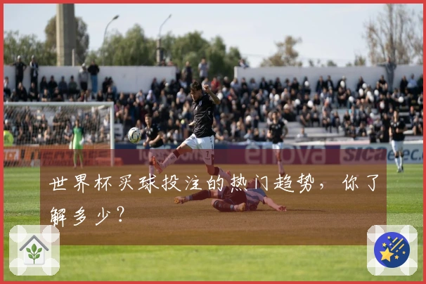 世界杯买球投注的热门趋势，你了解多少？