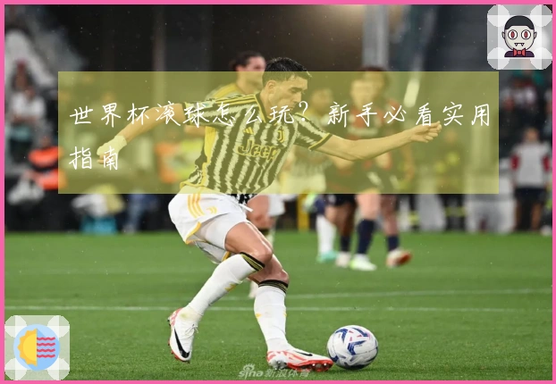 世界杯滚球怎么玩？新手必看实用指南