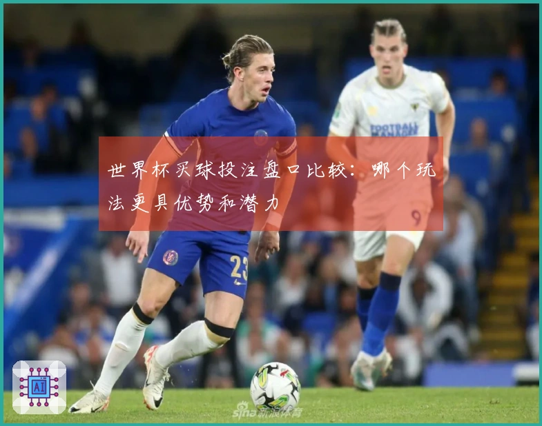 世界杯买球投注盘口比较：哪个玩法更具优势和潜力