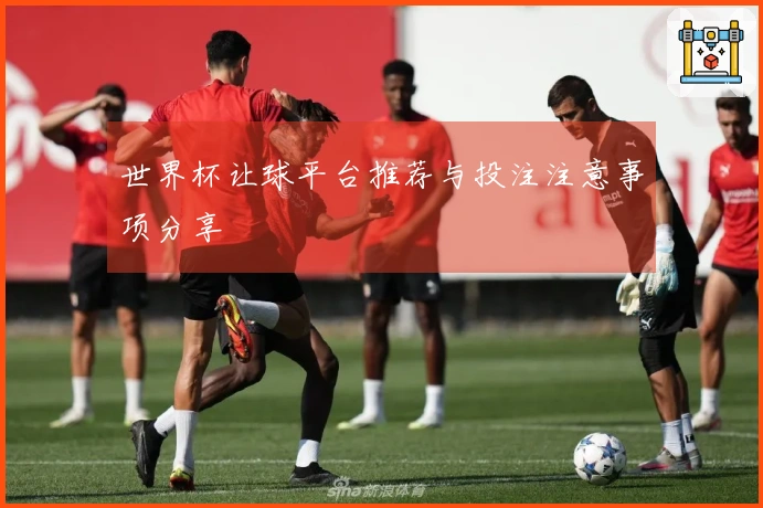 世界杯让球平台推荐与投注注意事项分享