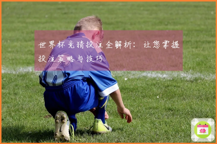 世界杯竞猜投注全解析：让您掌握投注策略与技巧