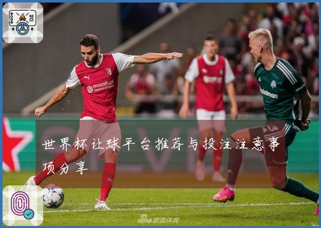 世界杯让球平台推荐与投注注意事项分享