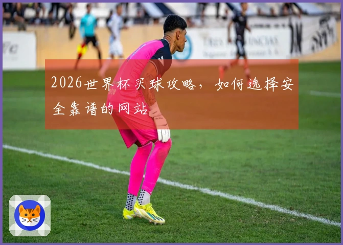 2026世界杯买球攻略，如何选择安全靠谱的网站
