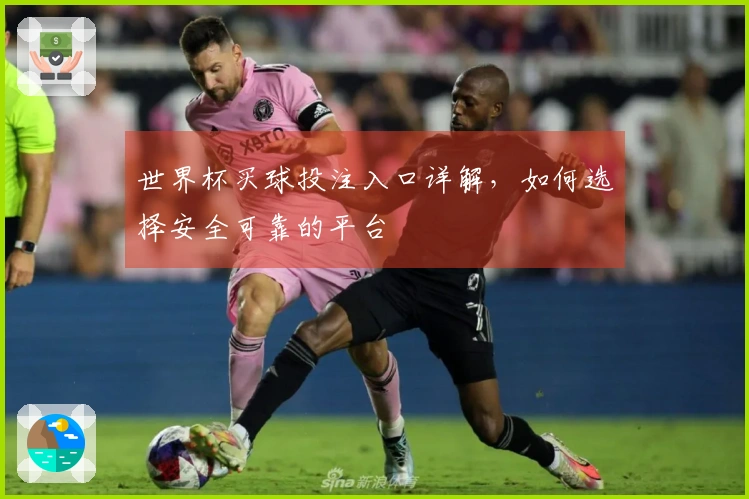 世界杯买球投注入口详解，如何选择安全可靠的平台