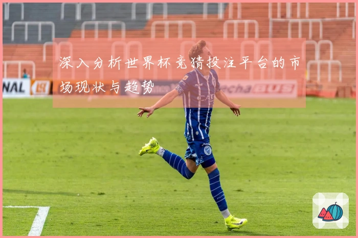 深入分析世界杯竞猜投注平台的市场现状与趋势