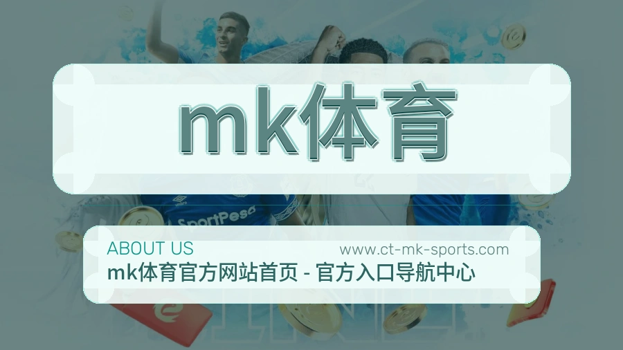 结构清晰